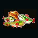 Big Bass Splash Symbol Fisch Fang